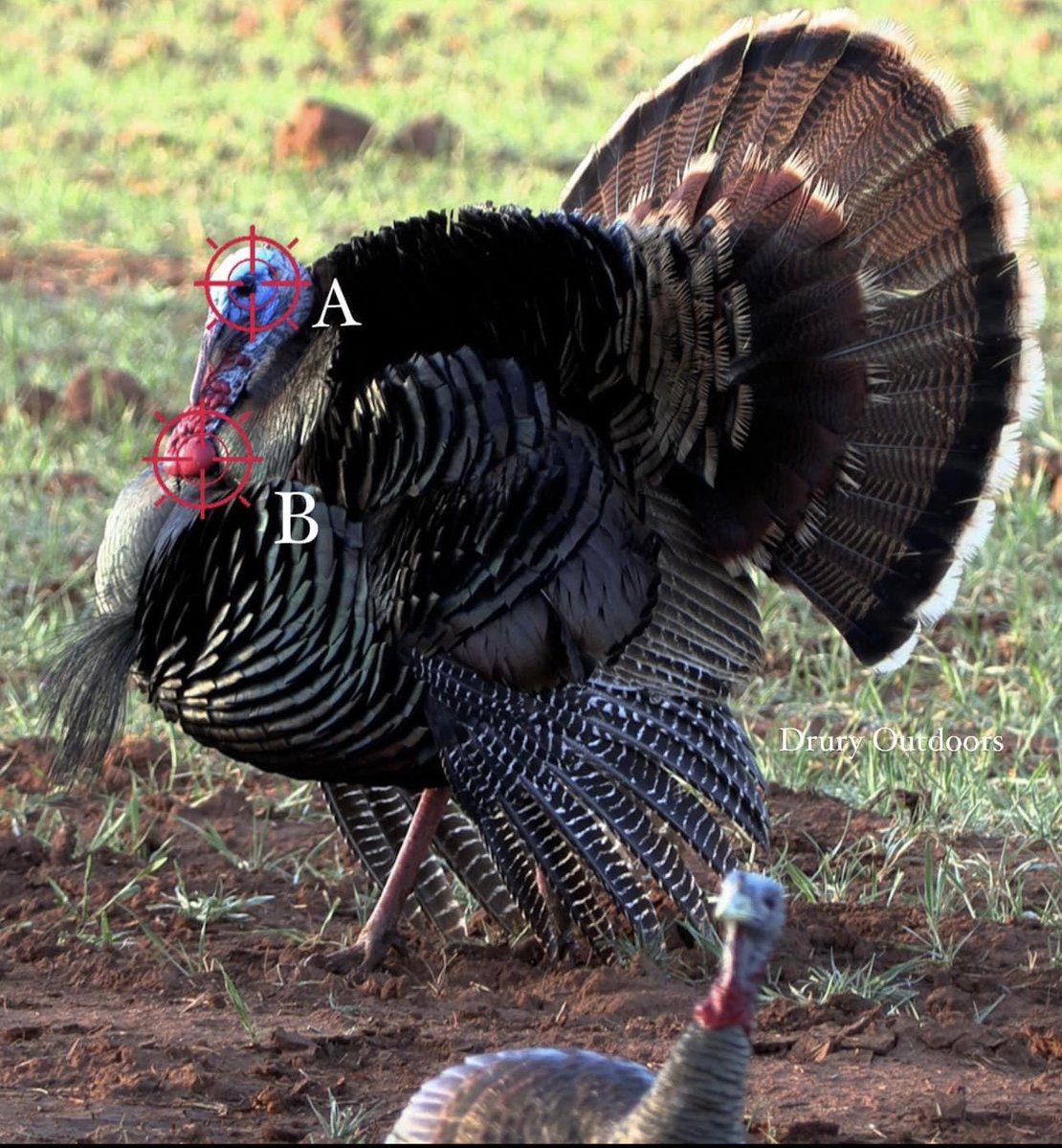 iakashdigital's tweet image. Where you aiming?? A or B? 🎯#TargetPractice #AorB #Sharpshooter #ShootingSports #Bullseye #StayOnTarget #GunRange #Marksman #FirearmTraining #PrecisionShooting