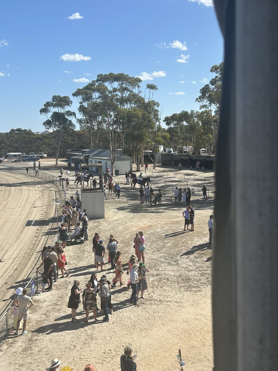 2nd WA winner for Elisha Whittington and a 3rd Pingrup win for 10yo Dynamite Bay.  500 or so braving the heat for some grassroots racing 👌