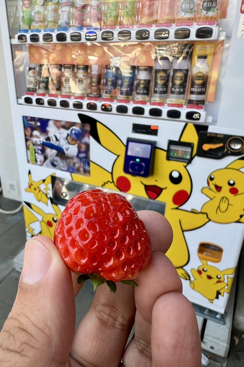 Kyushu strawberry, Pikachu, and Shohei in one frame 🇯🇵