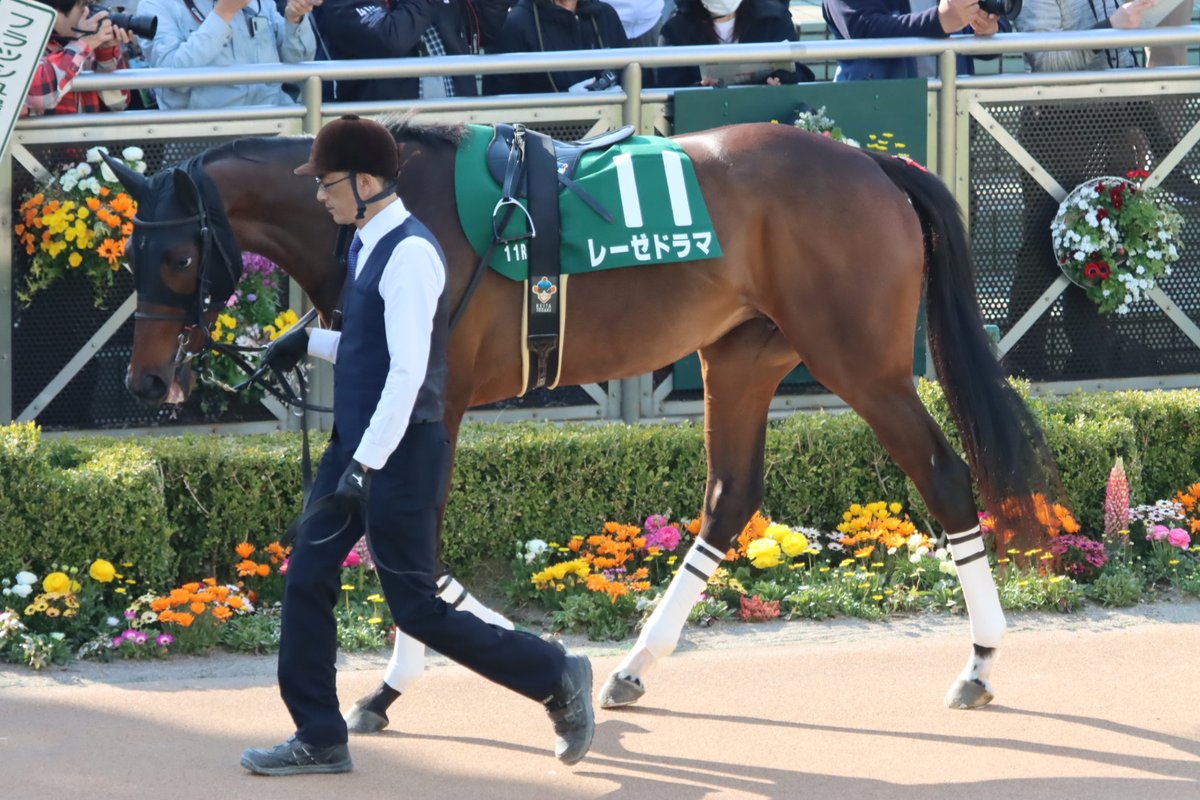 HiyoshiPocket's tweet photo. 2025年3月22日
#レーゼドラマ
#戸崎圭太
#社台レースホース
#Lesedrama
#フラワーカップ
#3歳オープン
#中山競馬場 https://t.co/dJ8Wjubg28