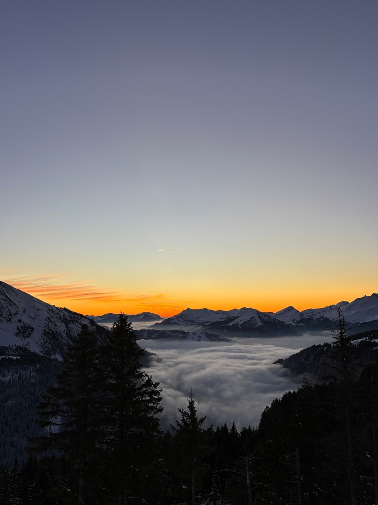 More Mountain tweet media