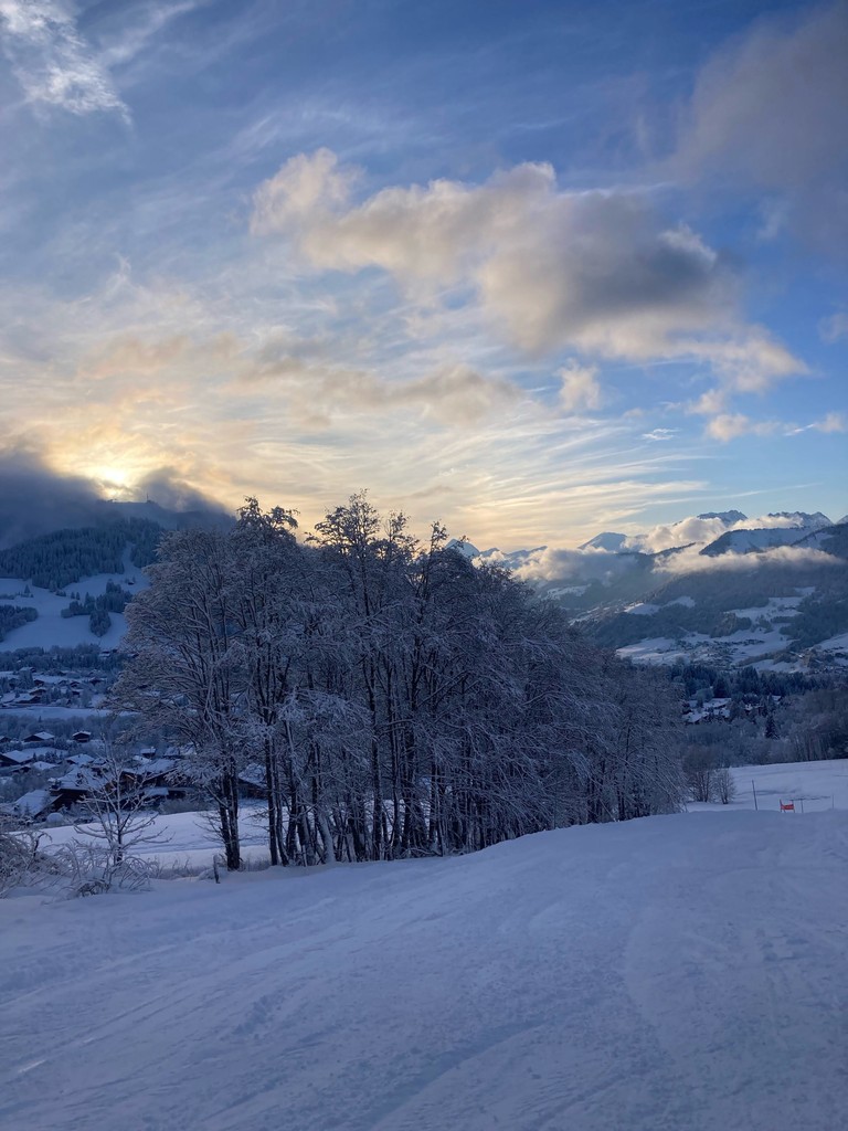 More Mountain tweet media