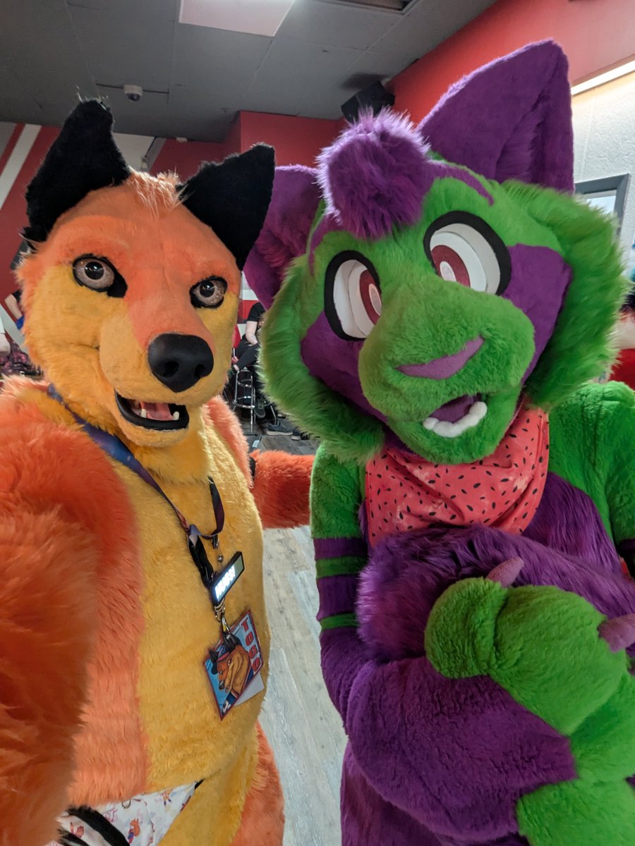 Togo Wolf tweet media