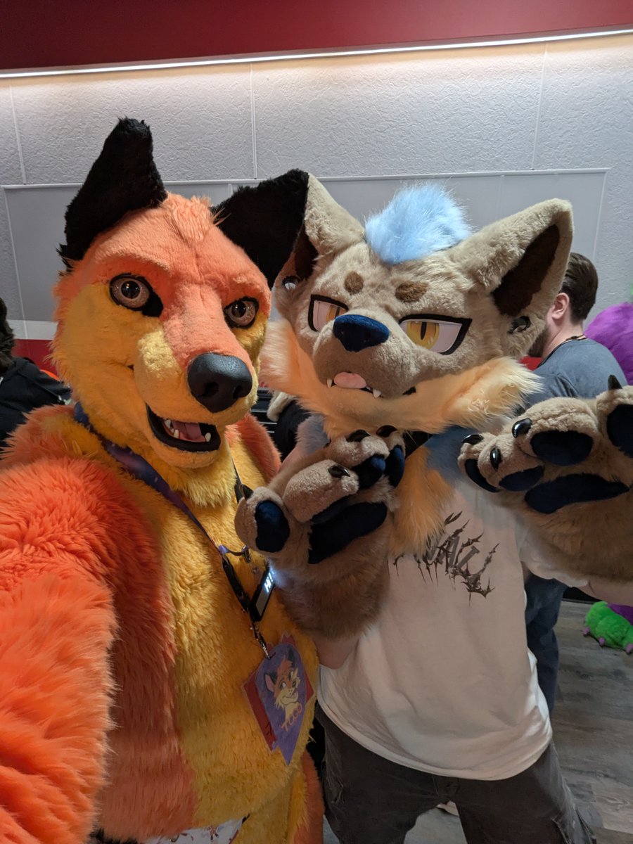 Togo Wolf tweet media