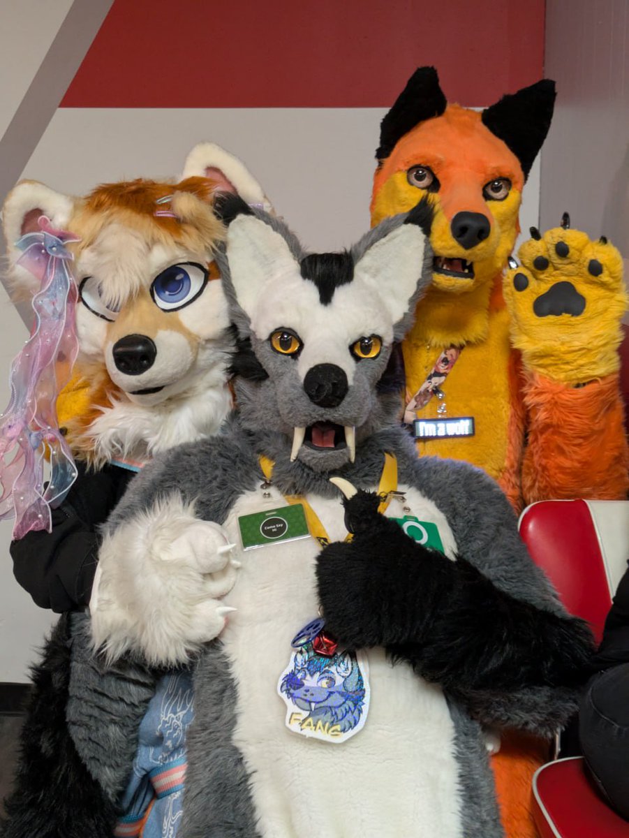 Togo Wolf tweet media