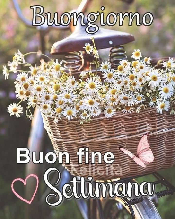 RITABIANCHi56 tweet media