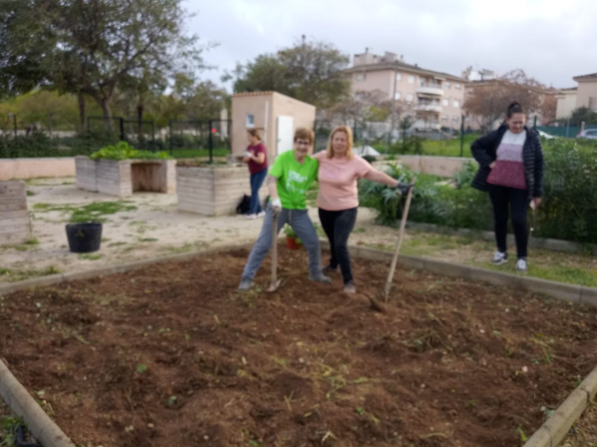 sonrapinya_ce's tweet photo. Tallers i activitats en xarxa. Taller d’horticultura als Horts municipals de Son Flor, organitzat per #AVSonFlorSonMoixNegre, @son_quint #GGSonRapinya, #GGSonserraLaVileta @ponentins https://t.co/YLjTYECG0a