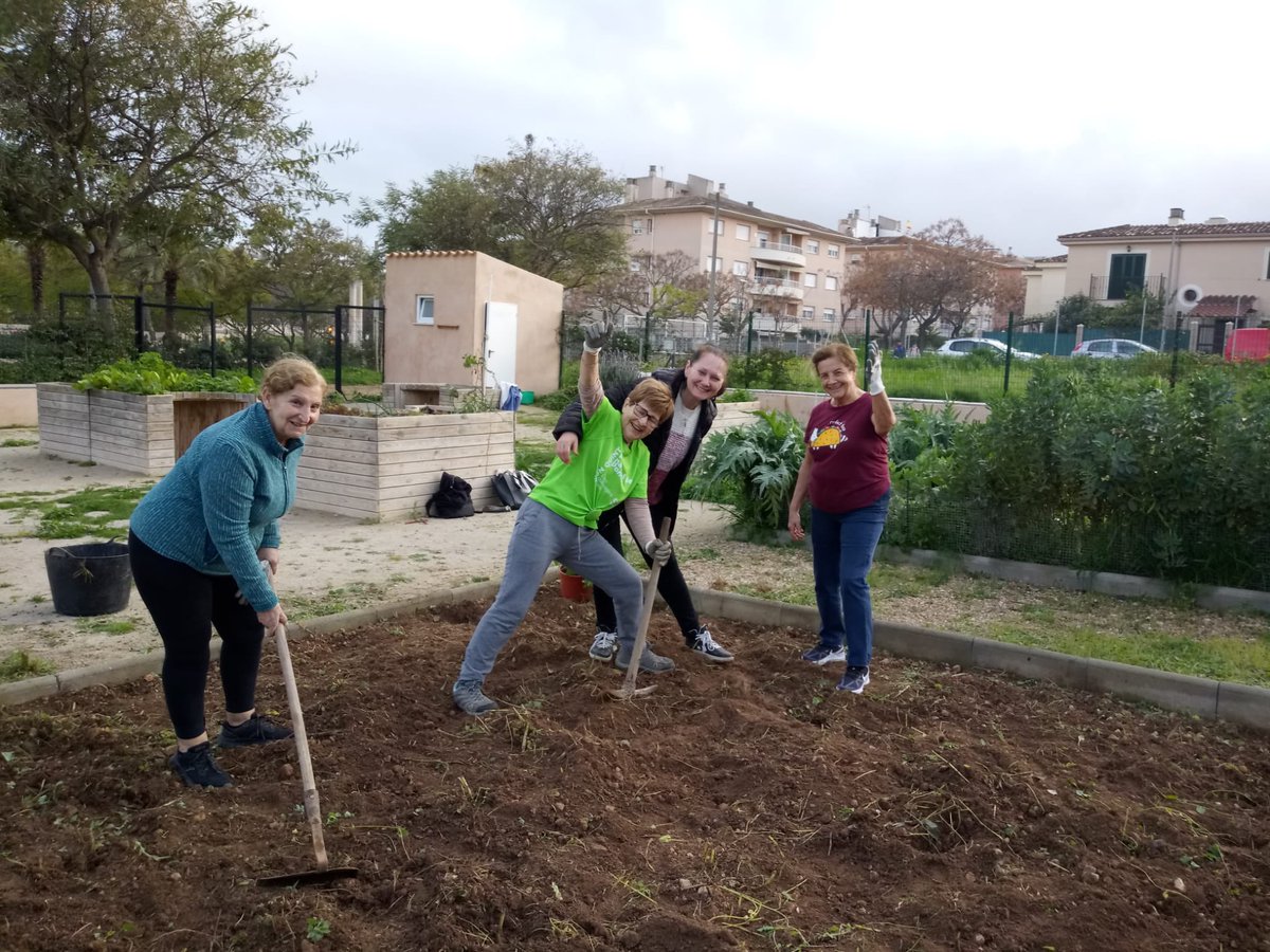 sonrapinya_ce's tweet photo. Tallers i activitats en xarxa. Taller d’horticultura als Horts municipals de Son Flor, organitzat per #AVSonFlorSonMoixNegre, @son_quint #GGSonRapinya, #GGSonserraLaVileta @ponentins https://t.co/YLjTYECG0a