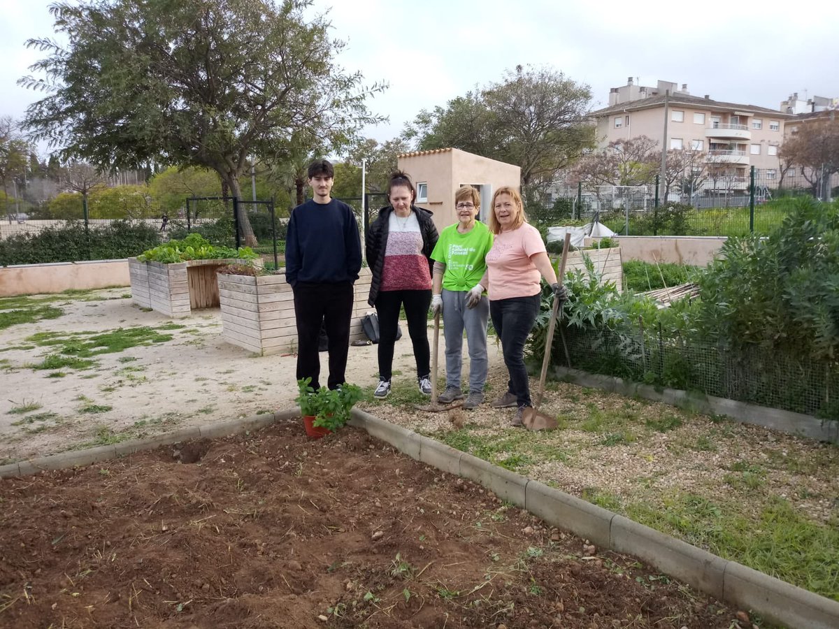 sonrapinya_ce's tweet photo. Tallers i activitats en xarxa. Taller d’horticultura als Horts municipals de Son Flor, organitzat per #AVSonFlorSonMoixNegre, @son_quint #GGSonRapinya, #GGSonserraLaVileta @ponentins https://t.co/YLjTYECG0a