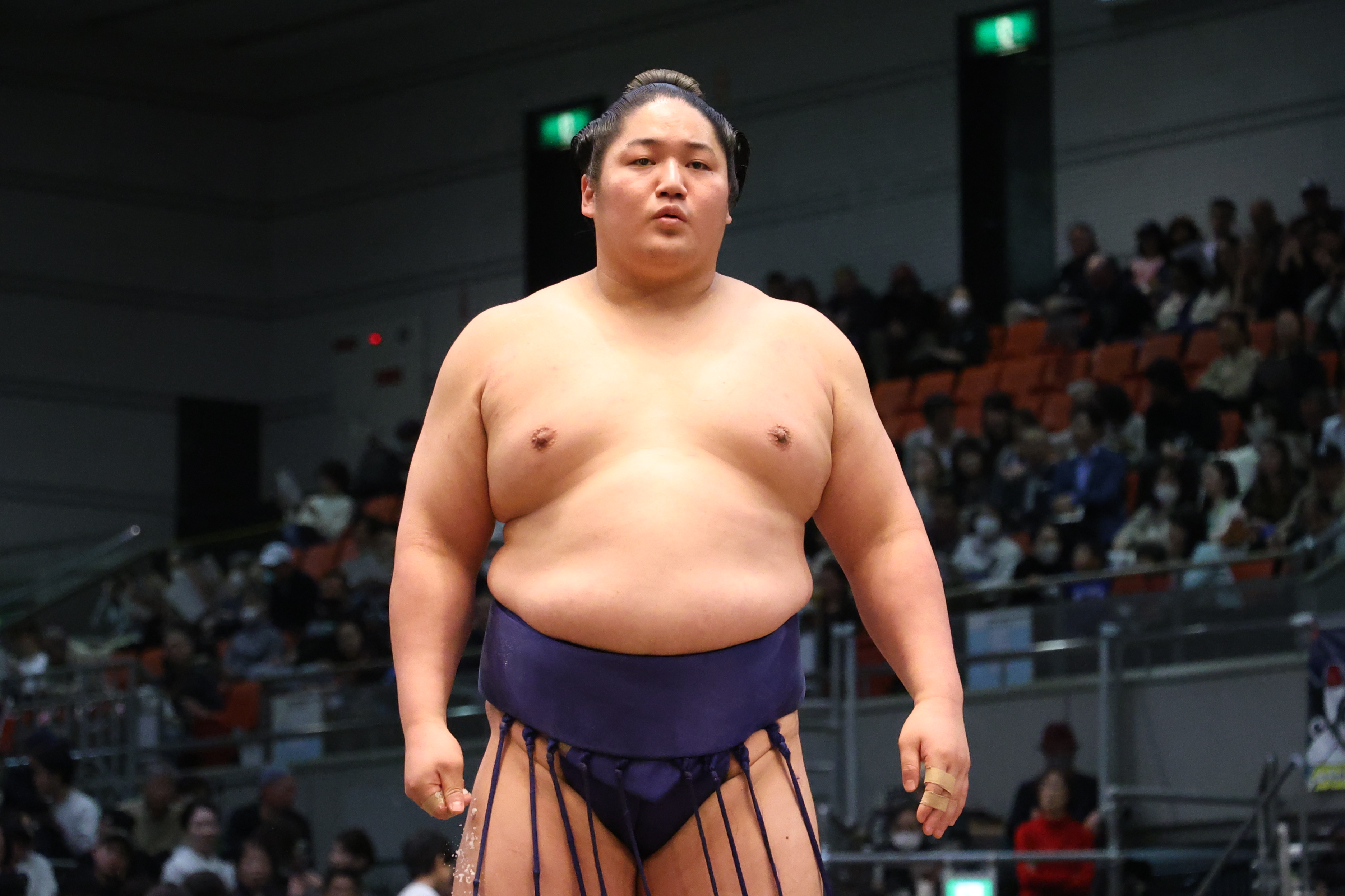 油絵　相撲　SUMO ヴィンテージ 油絵 相撲 SUMO ヴィンテージ