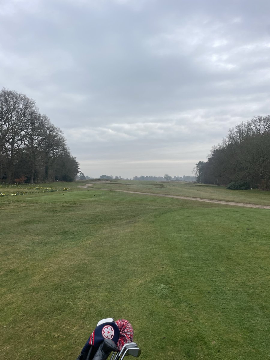 What a place ⁦<a href="/knibbsinho/">Alex Knibbs</a>⁩