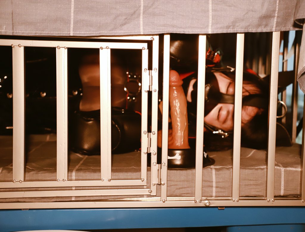 小狗玩够了就睡吧
Sleep, our tired puppy

#humanpet #k9 #bitchsuit #cage #人形犬 #笼子 #blackmarie #小狗日记 #puppydairy
🐩 <a href="/cjdsnowy/">🌸舞Snowy</a> 
📷 <a href="/TarsMark2/">梓楚 Branka</a> 
K9 <a href="/BlackMarieChina/">Black Marie</a>