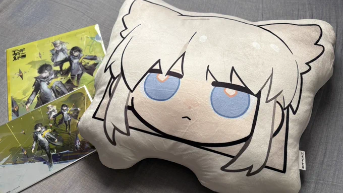 届きました!思ったより大きい 