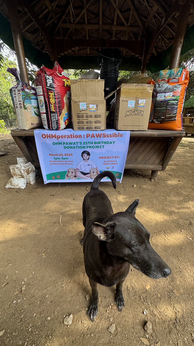 BL_Antea's tweet photo. We’re here at the shelter, making a difference one paw at a time 🐾🧡

Happy OHM Day 🧡

#OhmPawat_PHBirthdayProject2025 #ohmpawat #ยิ้ม5พันของโอมภวัต @ohmpawatt #AdoptDontShop #PawssionProject https://t.co/wHAW60hM1B