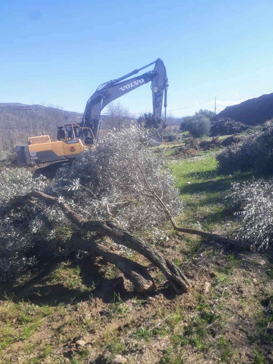 Zeytin katliamı!

İzmir’de Belevi-Tire karayolunun genişletilmesi için Çayırlı Köyü’nde yapılan ağaç katliamı devam ediyor.

Katliamı durdurmak için kampanya başlatan İzmir Çayırlı Köyü halkına destek ol.

İmzala, paylaş:
chng.it/99rS8RNd