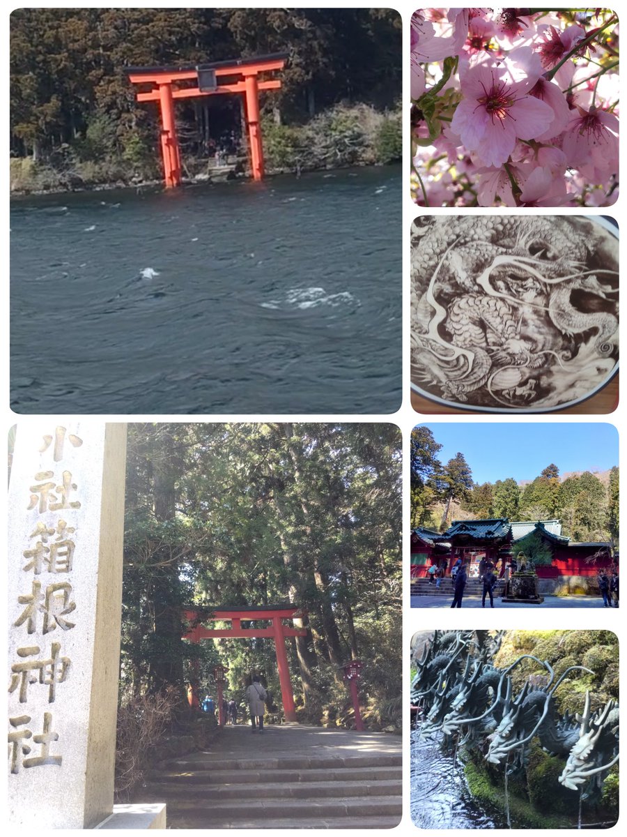 emikozou's tweet photo. これから…オヤツタイム(⁠＾⁠3⁠＾⁠♪かしわ餅 https://t.co/BccfSTYLB8