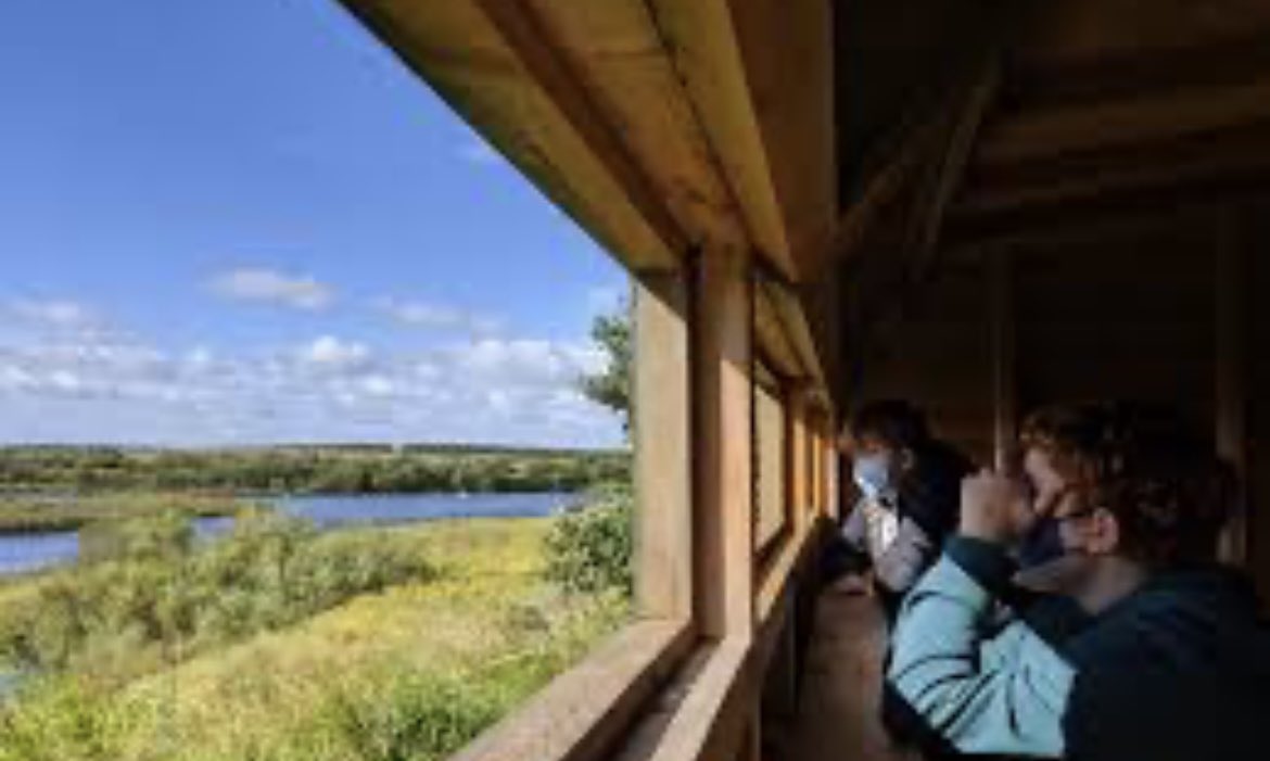 infocus_retailers tweet media