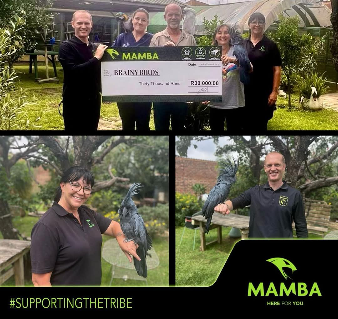brainybirds_sa's tweet photo. So proud to he part of the #MambaSecurity tribe. We thank them for nor just keeping us and the flock safe, but their ongoing support is greatly appreciated.
#supportingTheTribe https://t.co/5ePTbFkt8o