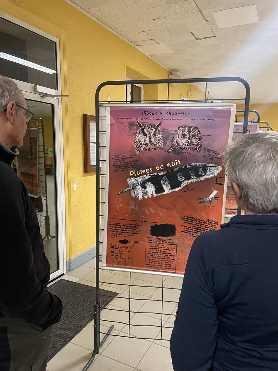 Pier_Etienne's tweet photo. Hier soir, c’était la « nuit de la chouette » à Chaumont🦉 Conférence, exposition et ateliers très intéressants avec la @LPOFrance de Champagne-Ardenne devant un public nombreux et familial sur ces animaux étonnants que sont les #chouettes et #hiboux 🦉 🌙 😊 https://t.co/e4NA3mil0A