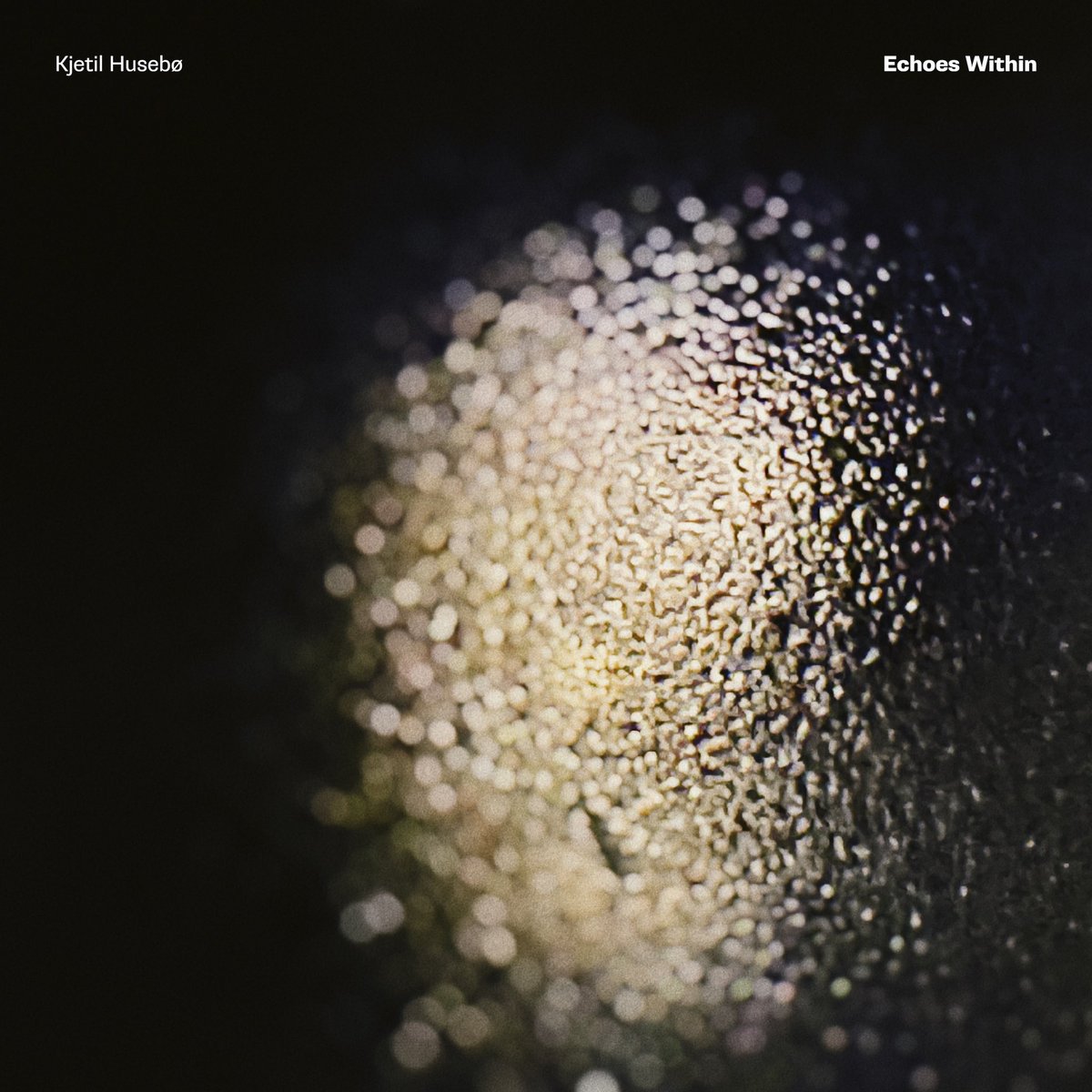 My new single «Echoes Within» is out now. 

It’s the third (and last) single from my upcoming solo double album «Piano Transformed - Interspace».Album release April 4th. Pre-Save link here: orcd.co/pre_pianotrans…