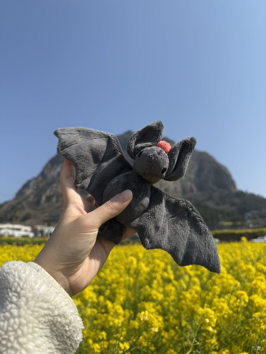 제주도 놀러간다고 만든 하르방 박쥐🦇🩶