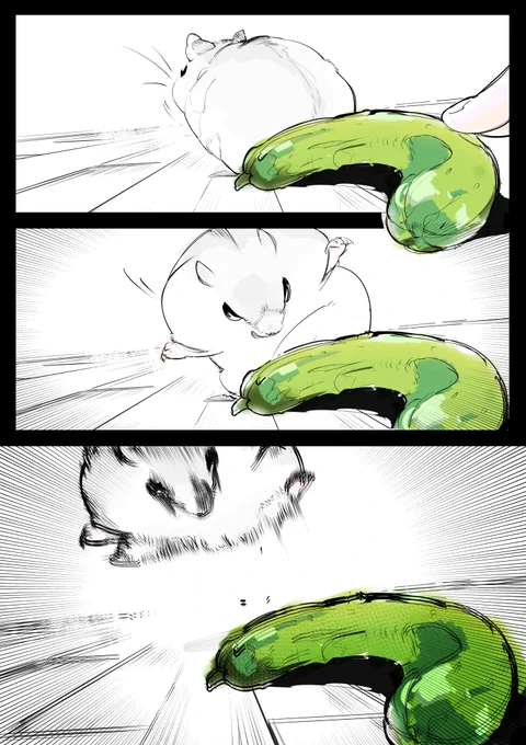 はむちゃんもきゅうりでびっくりするよね(嘘) 