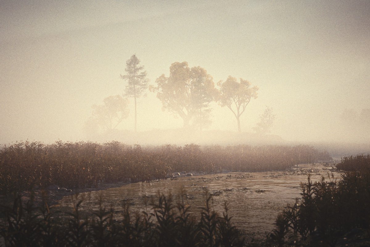 Trees in the fog

Assassins creed shadows
<a href="/Ubisoft/">Ubisoft</a> <a href="/assassinscreed/">Assassin's Creed</a> 

#AssassinsCreedShadows #AssassinsCreed #ACPhotoMode #VirtualPhotography