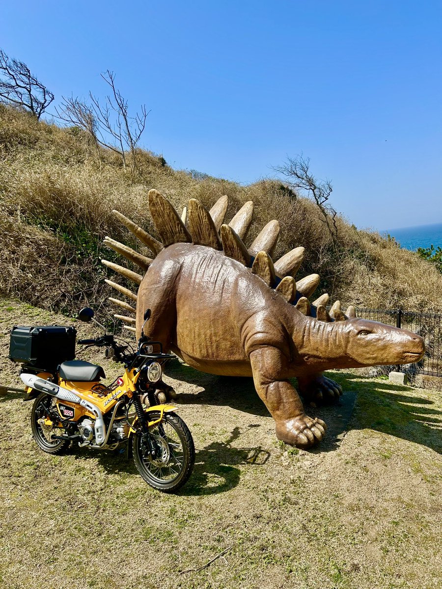 mw5ewSu4lDWKUt4's tweet image. ❇️恐竜とハンターカブ☀️😁

#ハンターカブ 
#CT125
#カブ