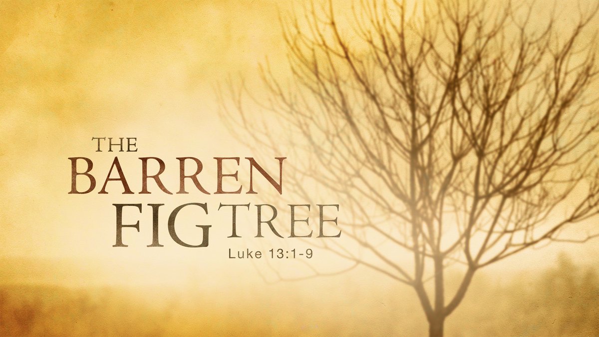 Christ Church & St Paul's Together In Paignton (@ccandsp) on Twitter photo Do join us tomorrow morning from 9.30am at St Paul’s and 11am at Christ Church. We will be exploring Luke 13: 1-9 ‘The Barren Fig Tree’. All are welcome to join us! <a href="/boostdigmednet/">Boostdigitalmedia.net</a> Do join us tomorrow morning from 9.30am at St Paul’s and 11am at Christ Church. We will be exploring Luke 13: 1-9 ‘The Barren Fig Tree’. All are welcome to join us! <a href="/boostdigmednet/">Boostdigitalmedia.net</a>