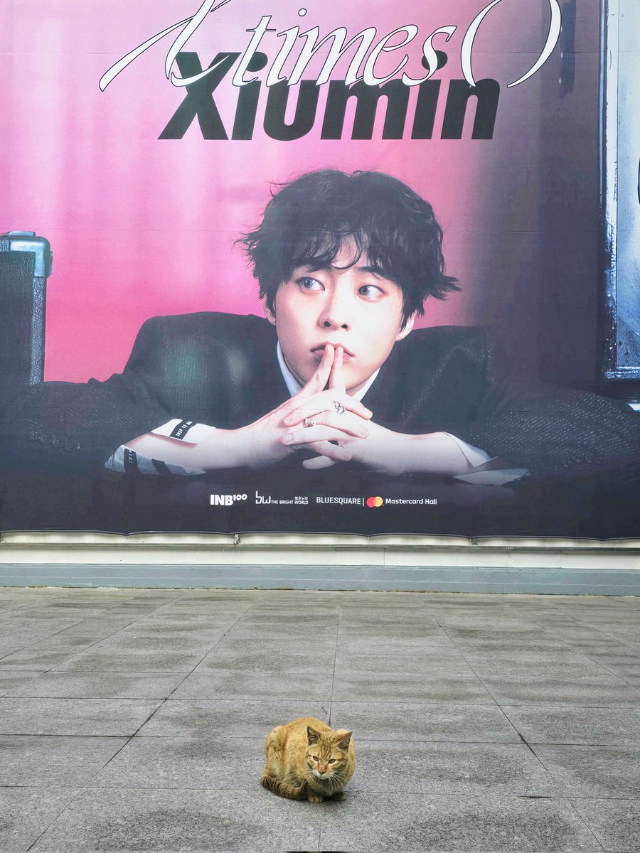 DDILALILA's tweet photo. 시우민 대장님의 팬콘을 축하하기 위해서 고양이가 자리 잡고 식빵 굽고 있으심

#XIUMIN #시우민 #InterviewX #WHEE https://t.co/ZhTXd4xe12