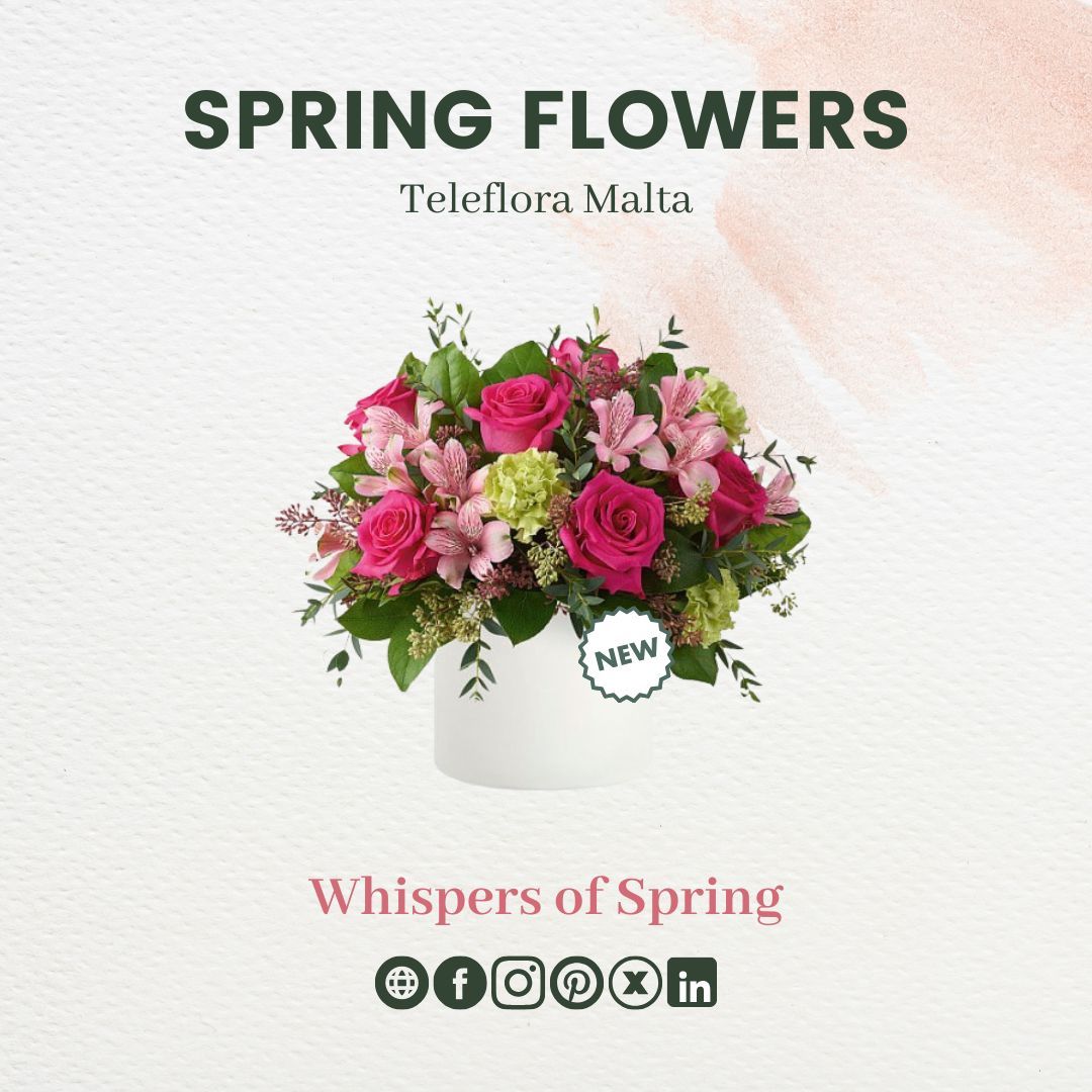 TelefloraMalta's tweet photo. 🌷 "Whispers of Spring" 🌷 - This stunning arrangement is the perfect way to express beauty and kindness. 

Order now and let us help you create a truly memorable moment overseas or locally! 💐💖 https://t.co/GWEI5HTcQx