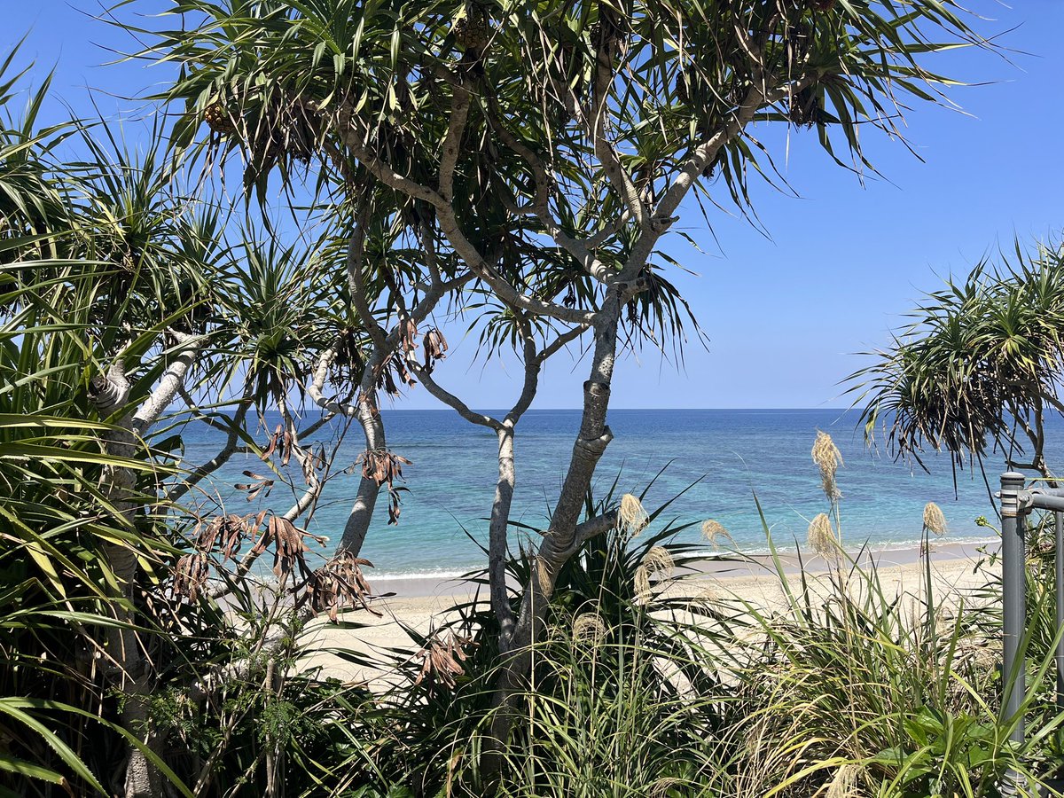 しんたにkungfu (@araquanjp) on Twitter photo 