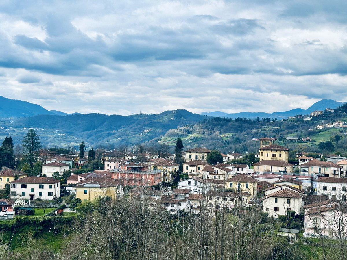 Elzbieta Wanowska tweet media