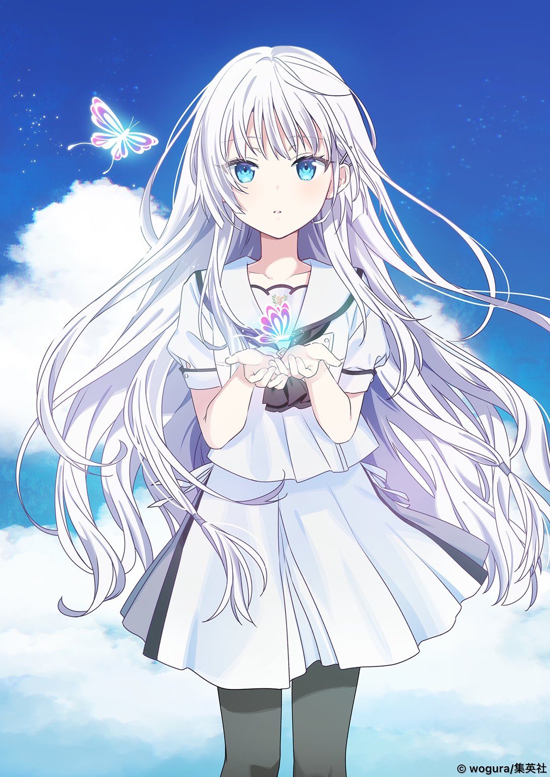 カードリスト ｜ ヴァイスシュヴァルツ｜Weiβ Schwarz