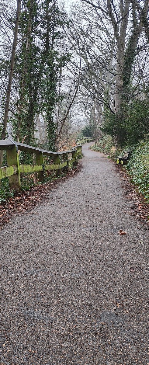 JDparkrun's tweet photo. It's wet out and so could be slippery on the edges of the course. The mist is lifting already but the rain will likely still be drizzle when we start. ,#JesmondDene #Parkrun #dfyb https://t.co/AvrSzZfiD2