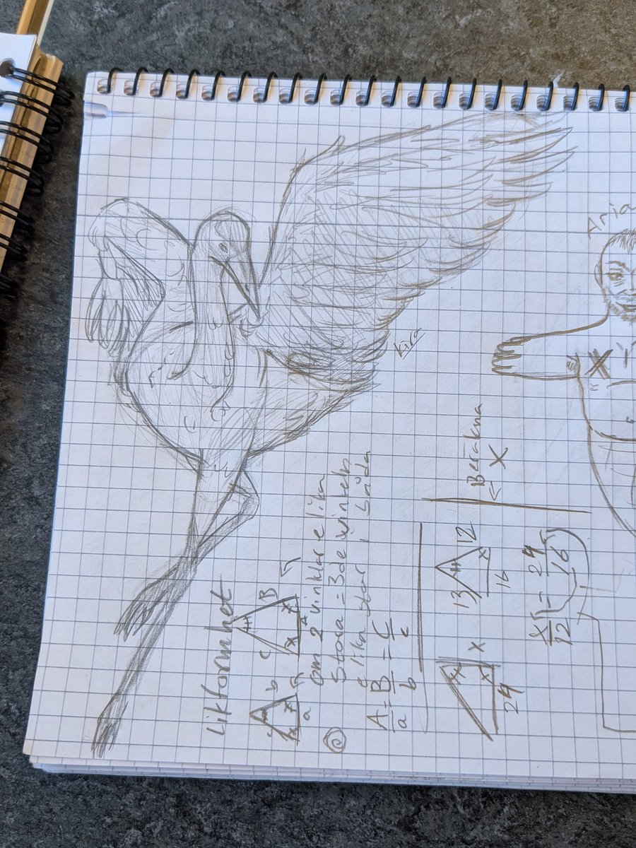 Ki_dorry's tweet photo. Bird

Ignore the guy in the corner

#birddrawing #bird #drawingart #art #artistsontwitter https://t.co/7fqT2cVNIt