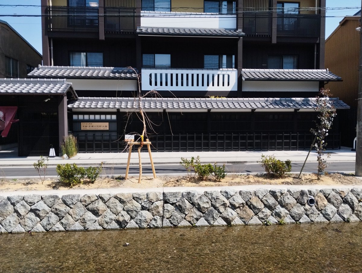 kyototb's tweet photo. ホテル北館前に新たに沈丁花の花が植えられていました。これから毎年春になると沈丁花の良い香りがすると思うととても嬉しいです！ https://t.co/gb5SVZcdVa
