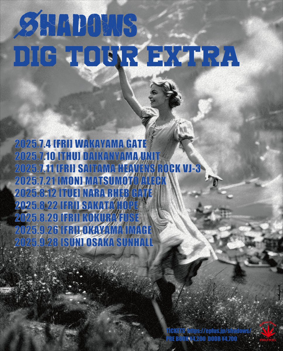 TOUR EXTRA DIG L SHADOWS Tee ミュージシャン