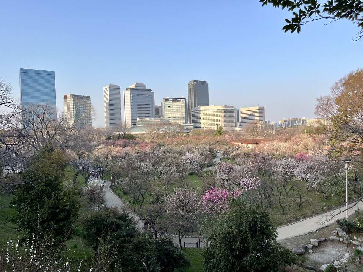 curtisjay1's tweet photo. Japan’s cherry blossom season is about to start #Japan #Osaka https://t.co/nYaDLEKEta