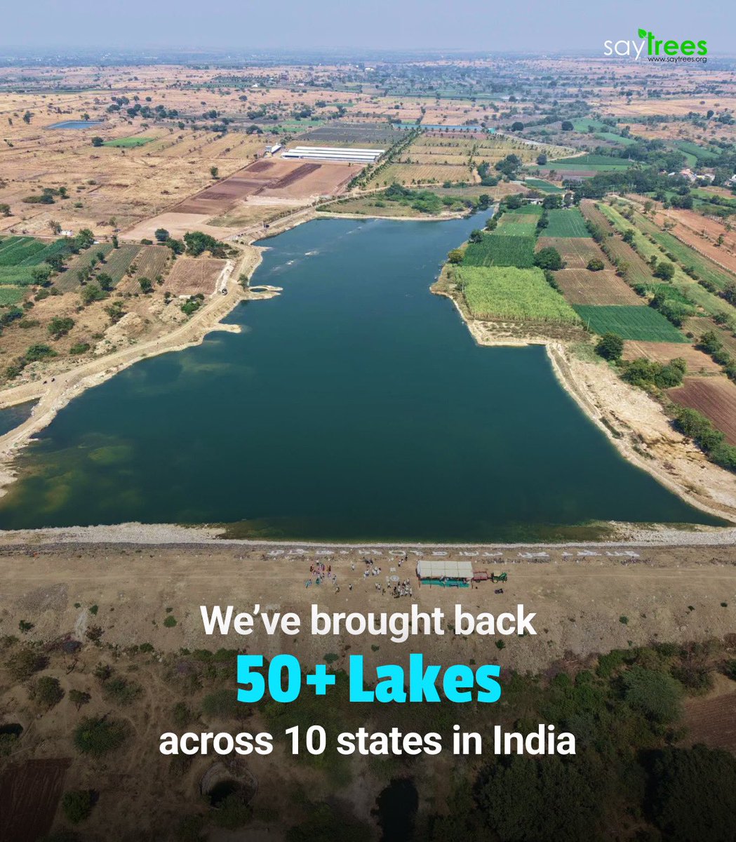 saytrees_ind's tweet photo. When water returns, so does life.

This World Water Day, we reflect on one of the most powerful forms of restoration: bringing water back to where it once thrived.

Across India, SayTrees has been working to revive lakes, restore traditional wells, and deepen ponds—all with one purpose:

To increase water-holding capacity for people and ecosystems.

We’ve worked in Karnataka, Tamil Nadu, Maharashtra, Telangana, and beyond, desilting dried lakes, clearing encroachments, planting native species around water bodies, and making room for rain again.

Each project has a direct impact:

- More water for farming and livestock
- Recharged groundwater for daily use
- Improved soil moisture for local trees
- Safe habitat for birds, insects, and aquatic life

Because when a water body is revived, nature & community around it thrives.

Let’s value water.Let’s restore it—for people, for biodiversity, for tomorrow.

#WorldWaterDay #SayTrees #WaterRestoration #LakesOfIndia #RestoreWells #WaterForCommunities #Biodiversity #GroundwaterRecharge #WaterIsLife