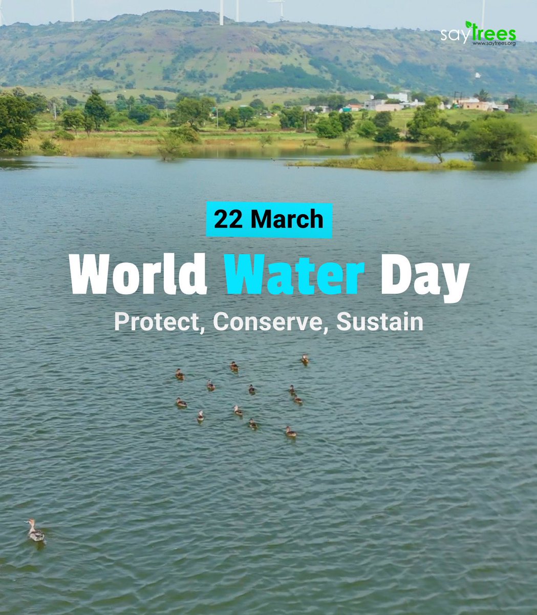 saytrees_ind's tweet photo. When water returns, so does life.

This World Water Day, we reflect on one of the most powerful forms of restoration: bringing water back to where it once thrived.

Across India, SayTrees has been working to revive lakes, restore traditional wells, and deepen ponds—all with one purpose:

To increase water-holding capacity for people and ecosystems.

We’ve worked in Karnataka, Tamil Nadu, Maharashtra, Telangana, and beyond, desilting dried lakes, clearing encroachments, planting native species around water bodies, and making room for rain again.

Each project has a direct impact:

- More water for farming and livestock
- Recharged groundwater for daily use
- Improved soil moisture for local trees
- Safe habitat for birds, insects, and aquatic life

Because when a water body is revived, nature & community around it thrives.

Let’s value water.Let’s restore it—for people, for biodiversity, for tomorrow.

#WorldWaterDay #SayTrees #WaterRestoration #LakesOfIndia #RestoreWells #WaterForCommunities #Biodiversity #GroundwaterRecharge #WaterIsLife