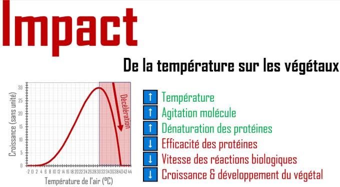 🚩Pourquoi les projets locaux ou nationaux concernent chacun de nous :
📍Selon Météo France , avec le dérèglement climatique, la trajectoire des températures en france nous amène à + 4°C. 

À +4°C, des pointes à 45-50°C deviendront régulières. Aucune culture française ne survit à