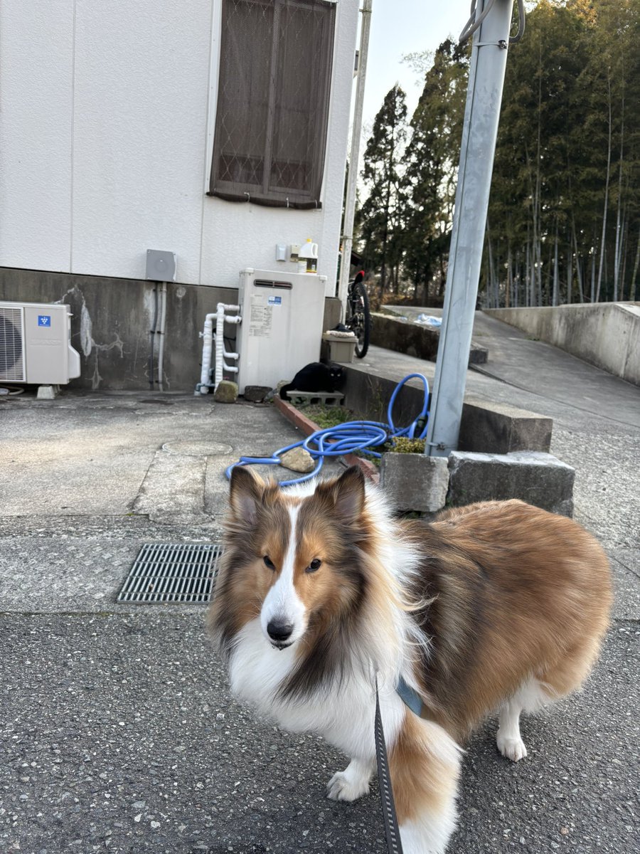 うちの子全然気がついてない😅