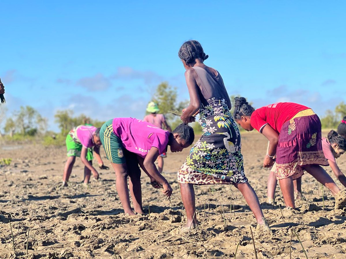 WWF Madagascar tweet media