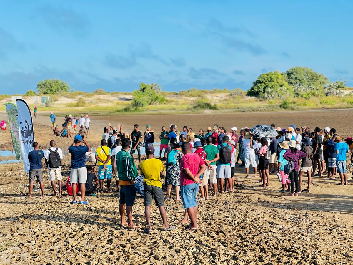 WWF Madagascar tweet media