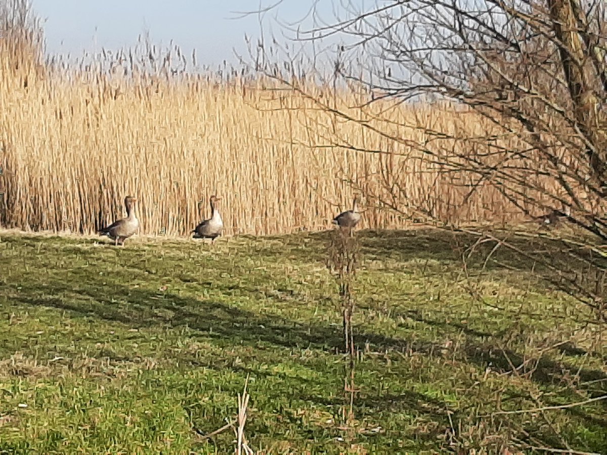 Pendant que la moitié de la planète se prépare à construire beaucoup d'armes pour sauver sa liberté, cette même moitié ne devrait pas oublier de sauver la planète pour sauver l'humanité entière ! @à la une 

<a href="/camarguefr/">Camargue.fr</a>