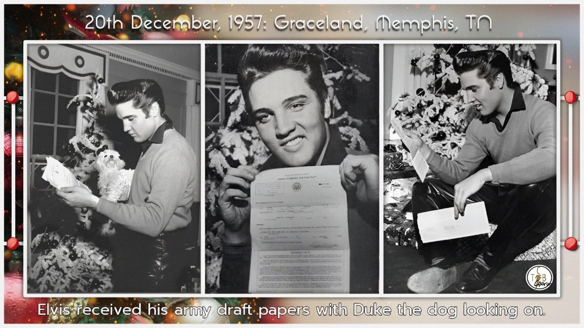 Elizabeth Macpherson tweet media