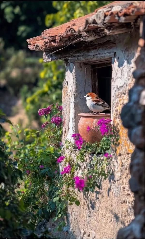 "La belleza complace a los ojos, pero es la dulzura de las acciones, la que encanta el alma..."