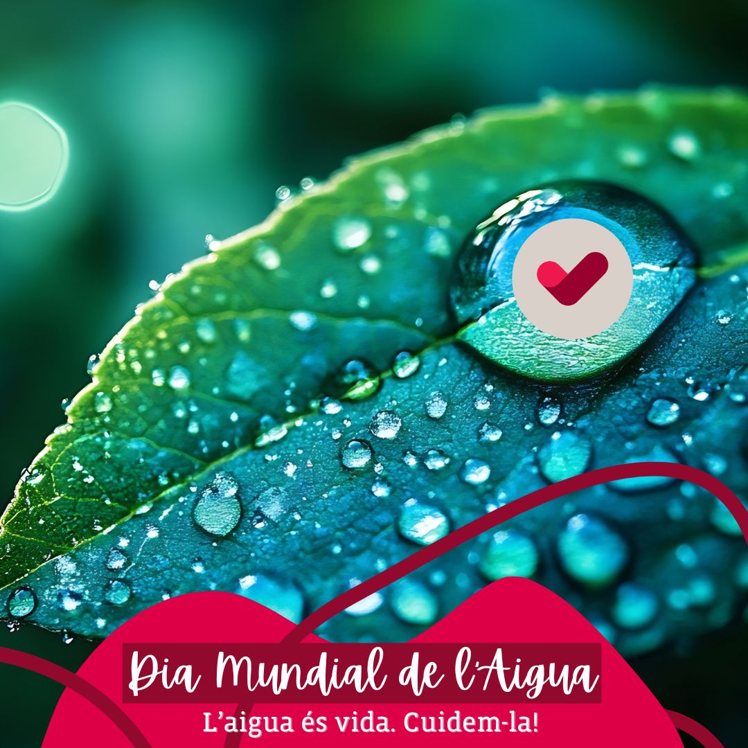 vedrunasallent's tweet photo. DIA MUNDIAL DE L’AIGUA 💧🌎
Cada gota compta!
L’AIGUA ÉS VIDA. CUIDEM-LA! 💙
#vedrunacatalunya #vedrunasallent #ods #diamundialaigua #cuidarnos #VedrunaODS #intensament https://t.co/c5mqV7pXDa