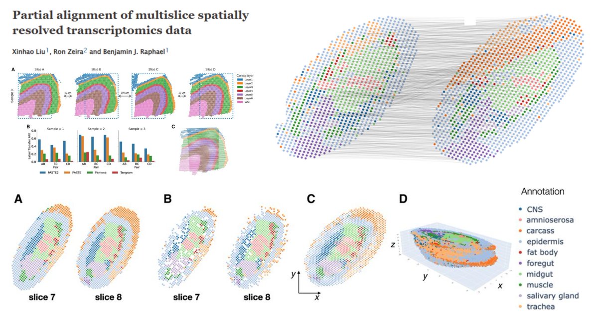 HaoYin20's tweet image. PASTE2

Partial alignment (based on a subset of spots) of multi-slice #SpatialTranscriptomics

3D reconstruction of 16-slide Stereo-seq Drosophila embryo

Partial fused Gromov-Wasserstein #OptimalTransport

vs PASTE Pamona Tangram

Alignment evaluated with Label Transfer…
